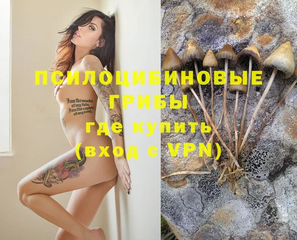 дурь Балахна